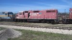 CP 7305